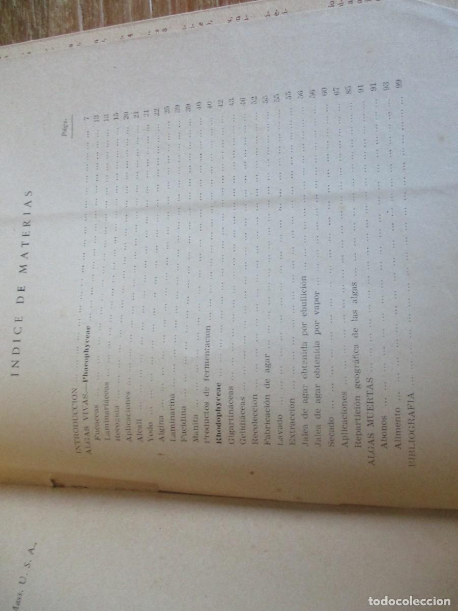 Libros de segunda mano: FRANCISCO CABRERO G&Oacute;MEZ Estudio de las algas marinas espa&ntilde;olas W18603 - Foto 4