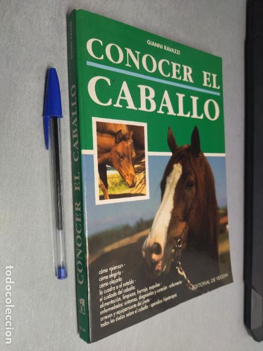 Libros de segunda mano: CONOCER EL CABALLO / GIANNI RAVAZZI / EDITORIAL DE VECCHI 1997 - Foto 1