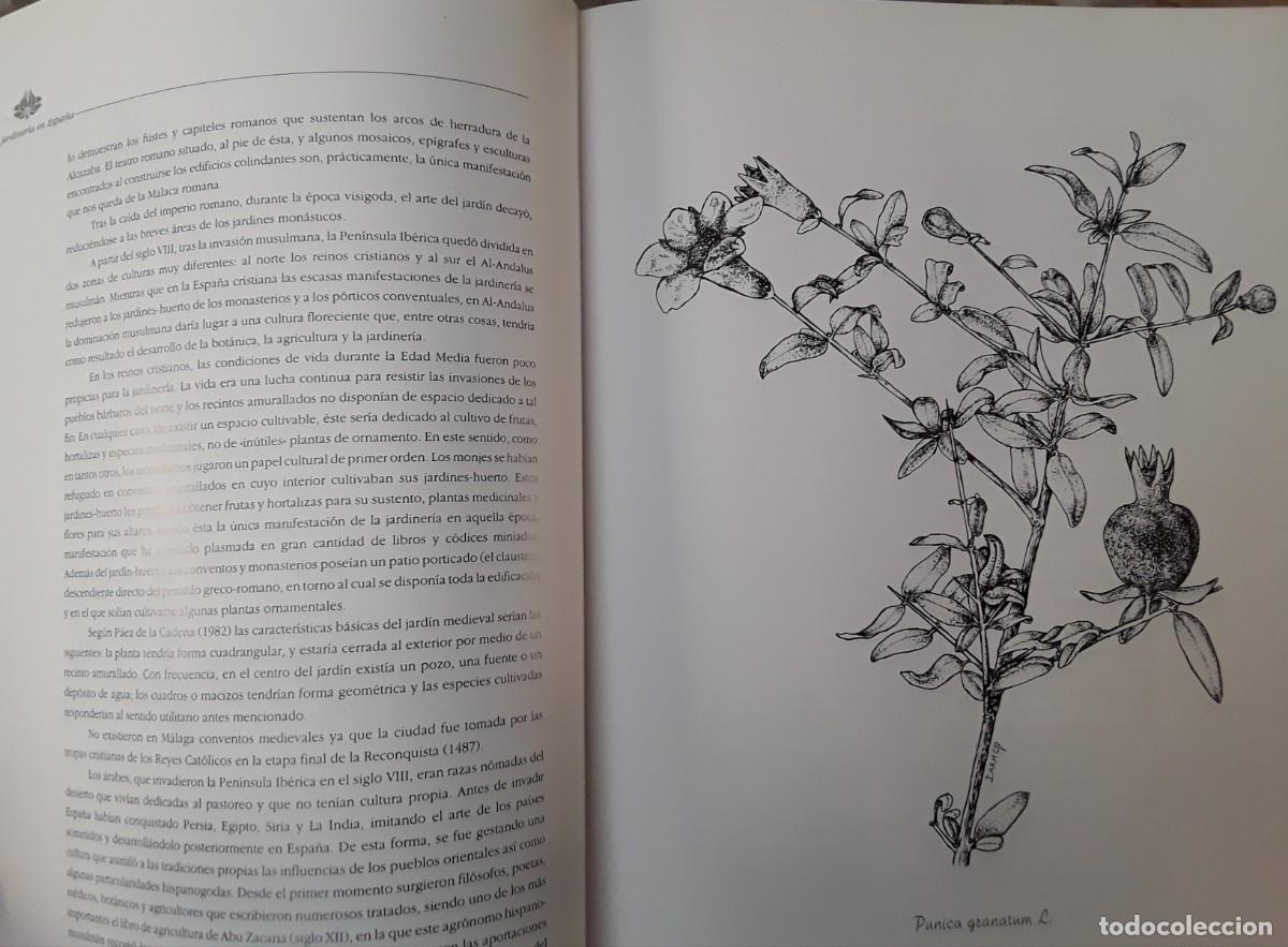 Libros de segunda mano: LOS JARDINES DE M&Aacute;LAGA. ITINERARIO BOT&Aacute;NICO. - Foto 3