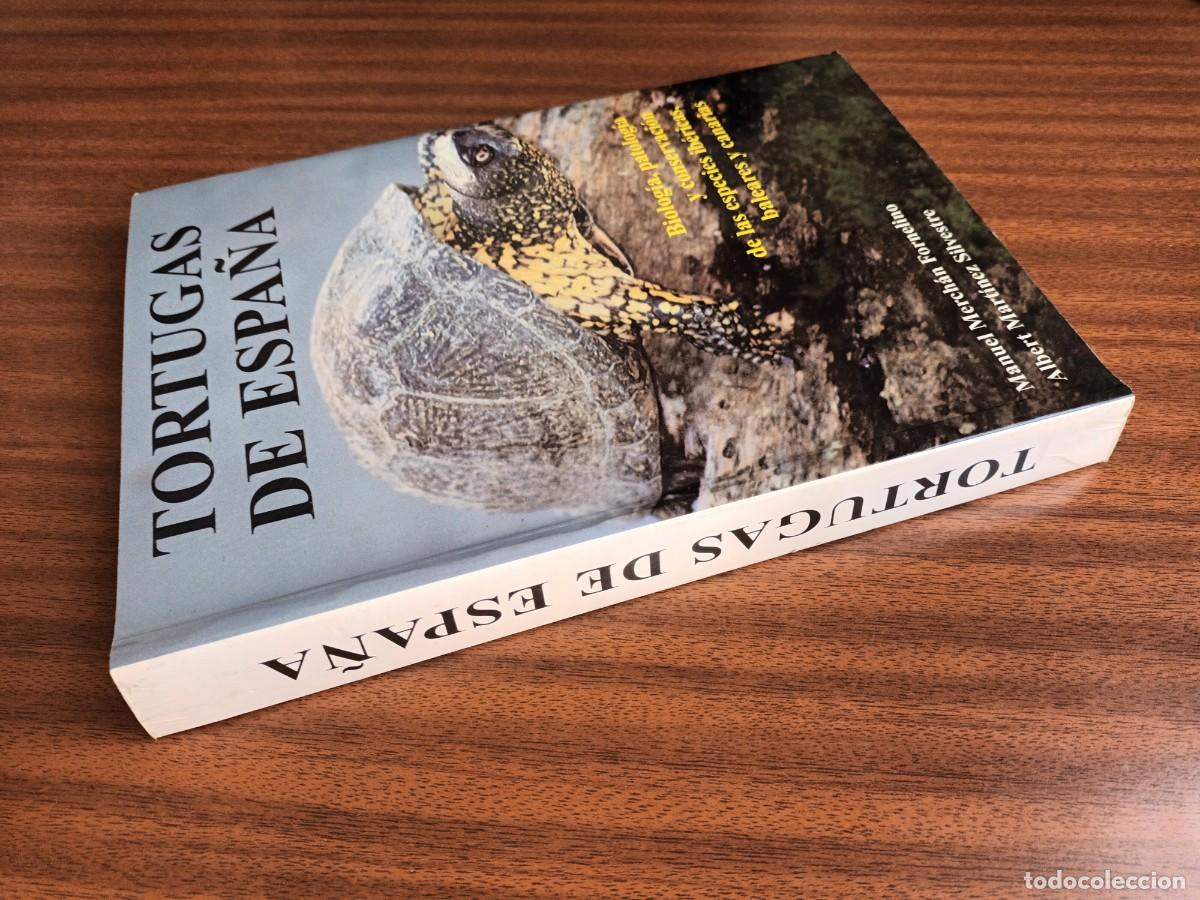 Libros de segunda mano: Tortugas de Espa&ntilde;a --- Merch&aacute;n, Mart&iacute;nez - Foto 2