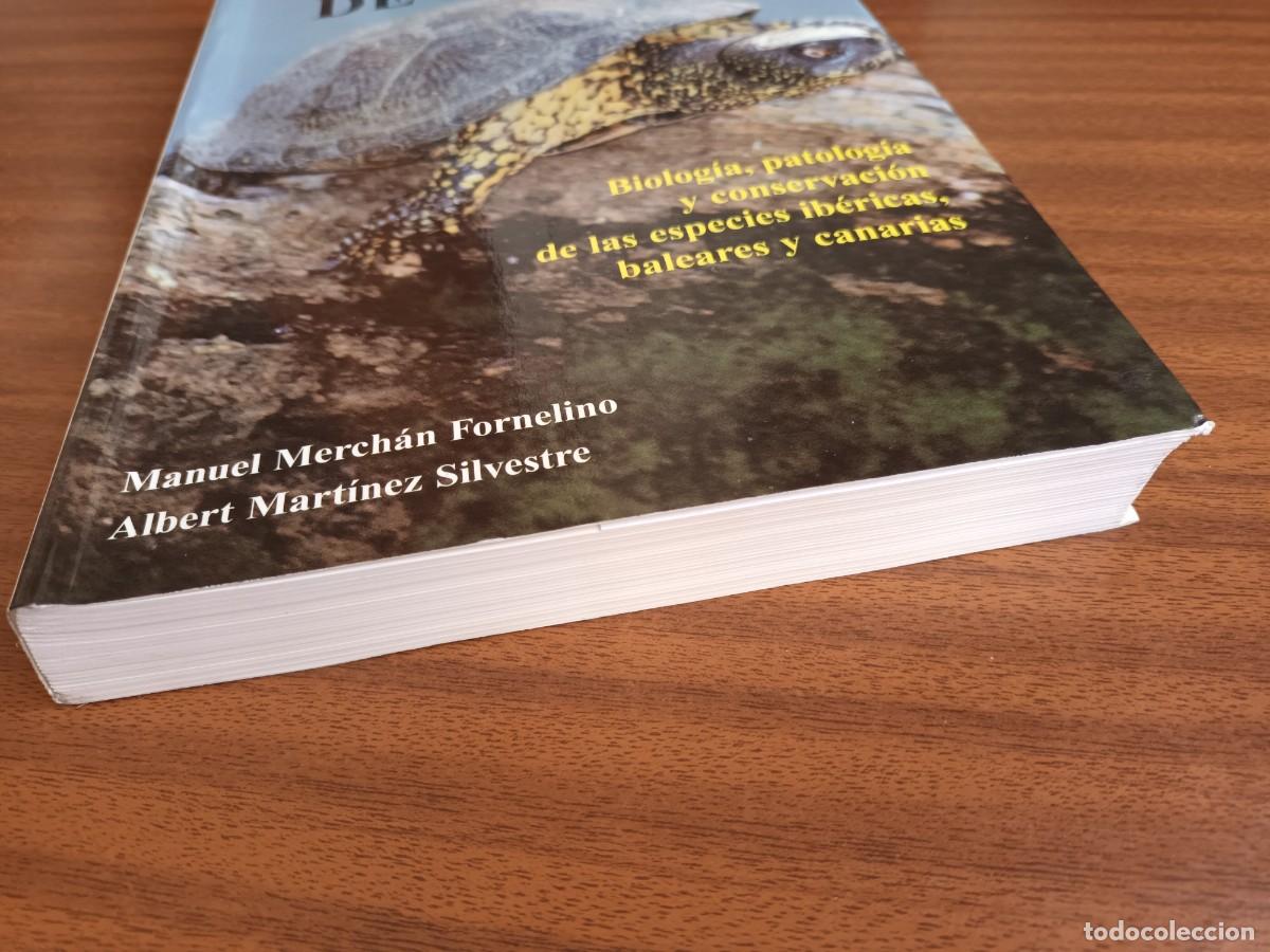 Libros de segunda mano: Tortugas de Espa&ntilde;a --- Merch&aacute;n, Mart&iacute;nez - Foto 4