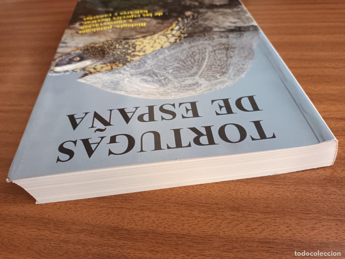 Libros de segunda mano: Tortugas de Espa&ntilde;a --- Merch&aacute;n, Mart&iacute;nez - Foto 5