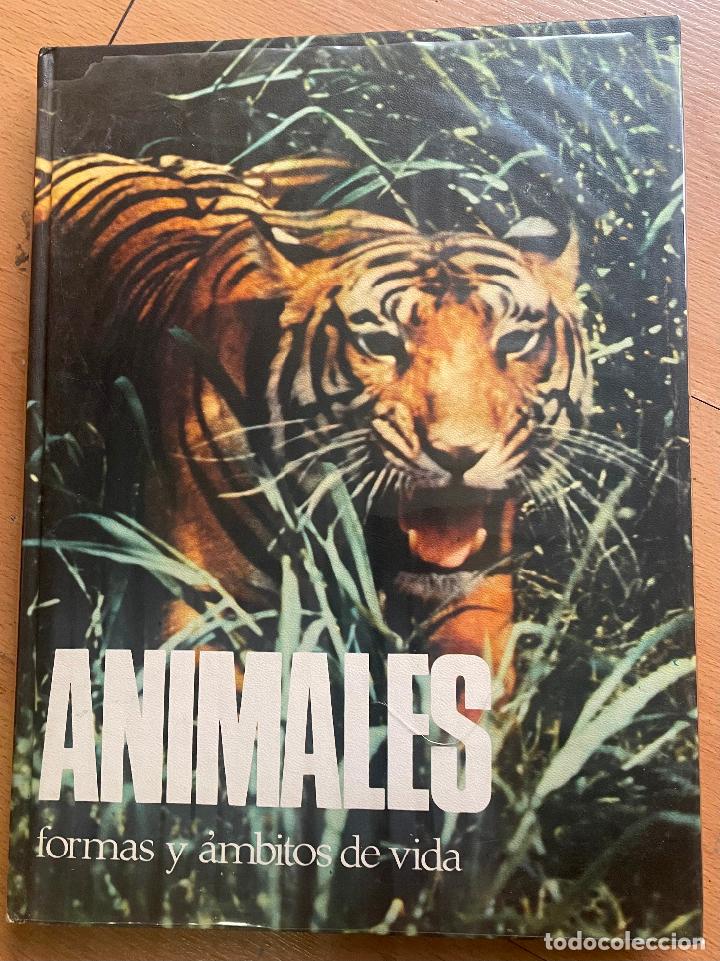Libros de segunda mano: ANIMALES, Formas y ambitos de vida - Foto 1