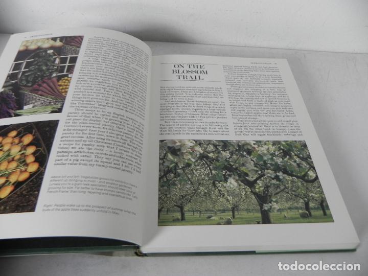 Libros de segunda mano: THE OBSERVER GOOD GARDENING( JOY LARKCOM/A. HELLYER/P. DODD) WEBB & BOWER-1983 (EN INGL&Eacute;S) - Foto 4