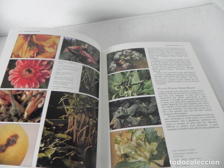 Libros de segunda mano: THE OBSERVER GOOD GARDENING( JOY LARKCOM/A. HELLYER/P. DODD) WEBB & BOWER-1983 (EN INGL&Eacute;S) - Foto 6