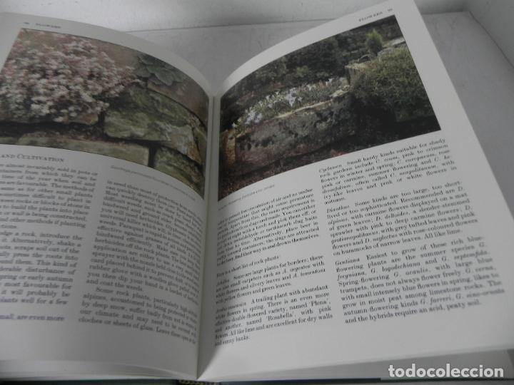 Libros de segunda mano: THE OBSERVER GOOD GARDENING( JOY LARKCOM/A. HELLYER/P. DODD) WEBB & BOWER-1983 (EN INGL&Eacute;S) - Foto 7