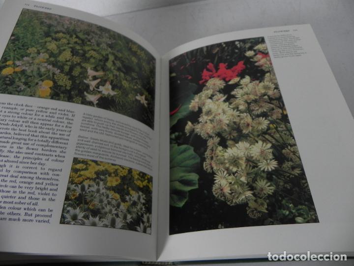 Libros de segunda mano: THE OBSERVER GOOD GARDENING( JOY LARKCOM/A. HELLYER/P. DODD) WEBB & BOWER-1983 (EN INGL&Eacute;S) - Foto 8