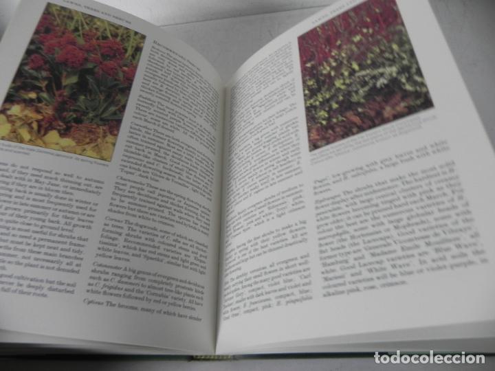 Libros de segunda mano: THE OBSERVER GOOD GARDENING( JOY LARKCOM/A. HELLYER/P. DODD) WEBB & BOWER-1983 (EN INGL&Eacute;S) - Foto 9