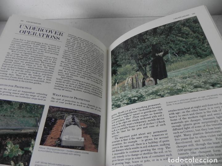 Libros de segunda mano: THE OBSERVER GOOD GARDENING( JOY LARKCOM/A. HELLYER/P. DODD) WEBB & BOWER-1983 (EN INGL&Eacute;S) - Foto 10
