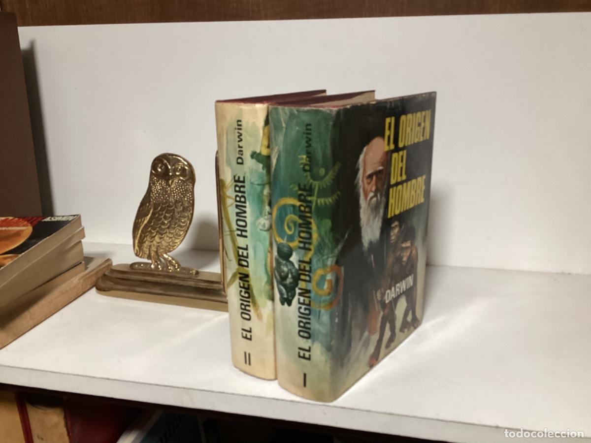 Libros de segunda mano: EL ORIGEN DEL HOMBRE / DARWIN / 2 TOMOS / EDICIONES PETRONIO 1973 - Foto 3