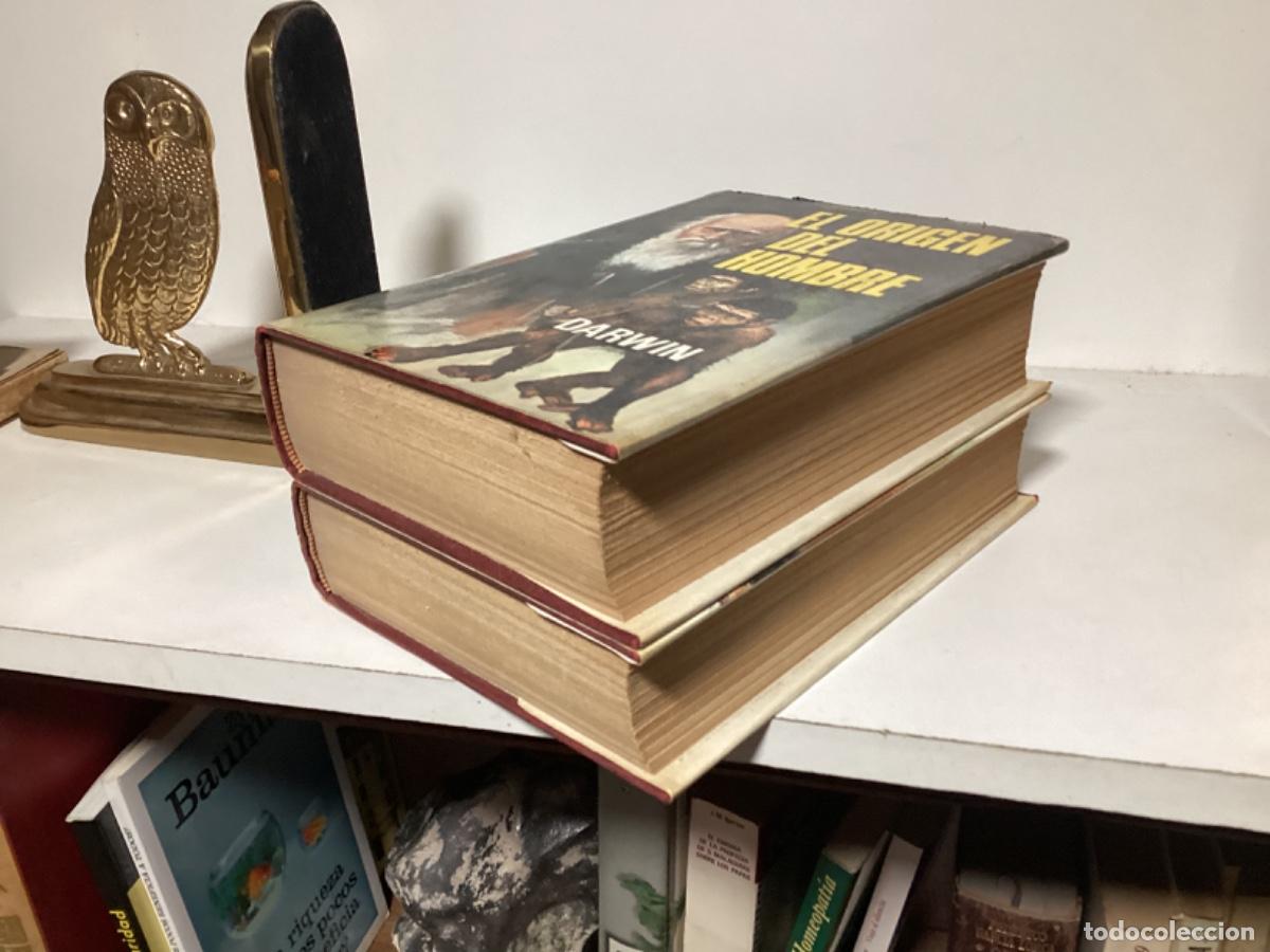 Libros de segunda mano: EL ORIGEN DEL HOMBRE / DARWIN / 2 TOMOS / EDICIONES PETRONIO 1973 - Foto 5