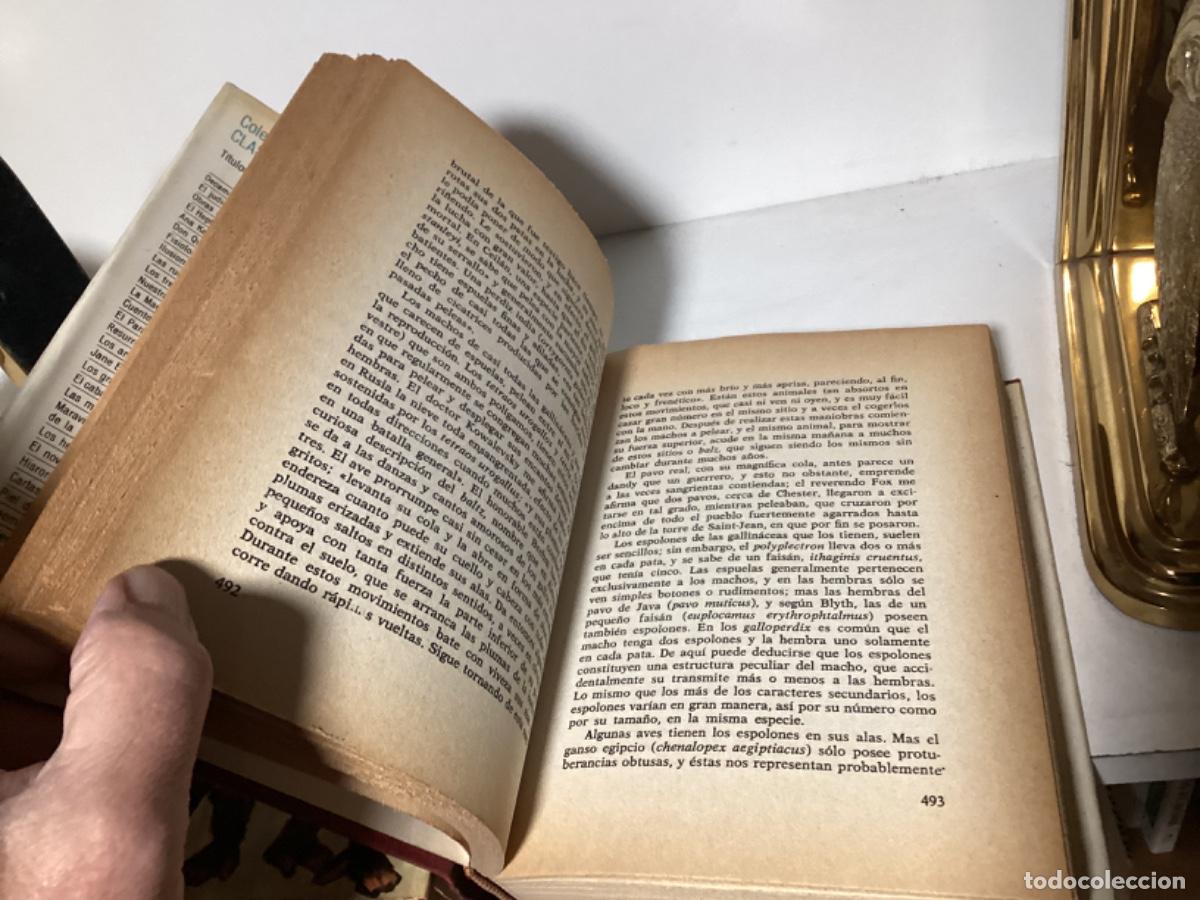 Libros de segunda mano: EL ORIGEN DEL HOMBRE / DARWIN / 2 TOMOS / EDICIONES PETRONIO 1973 - Foto 10