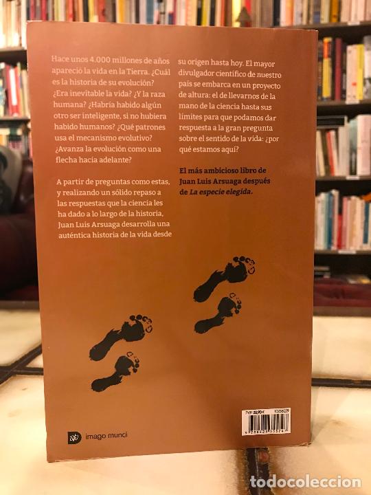Libros de segunda mano: Vida, la gran historia. Juan Luis Arsuaga. - Foto 2