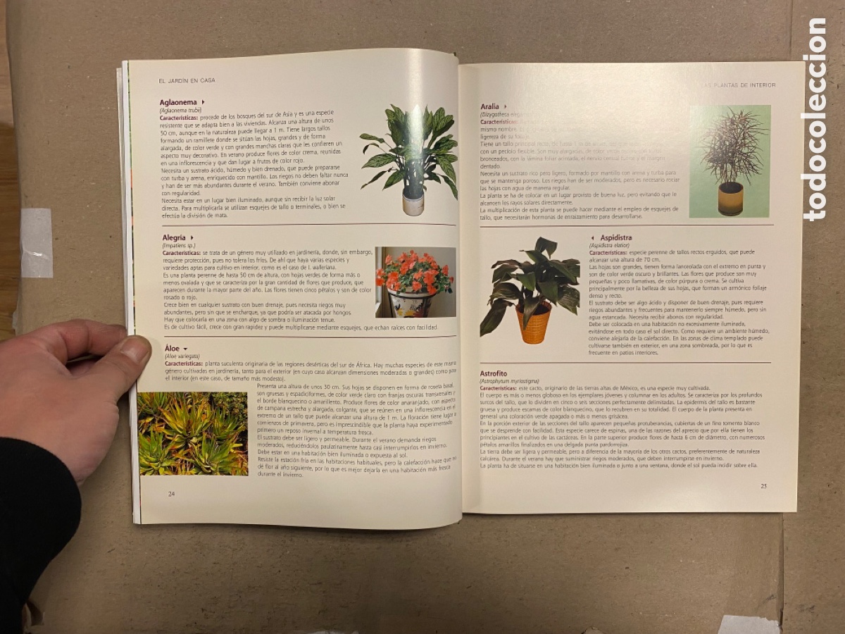 Libros de segunda mano: EL GRAN LIBRO DE LA JARDINER&Iacute;A. EDICIONES RUEDA 2009. - Foto 4