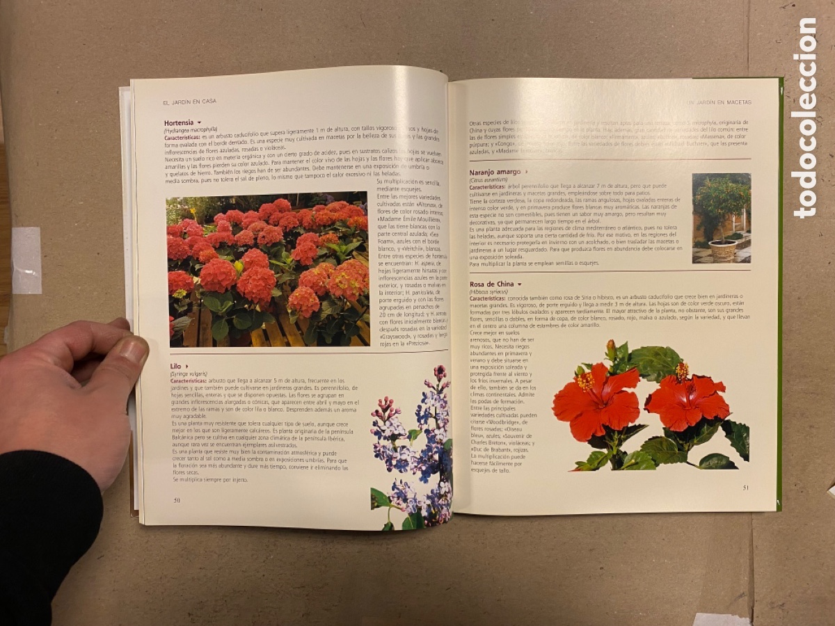 Libros de segunda mano: EL GRAN LIBRO DE LA JARDINER&Iacute;A. EDICIONES RUEDA 2009. - Foto 5