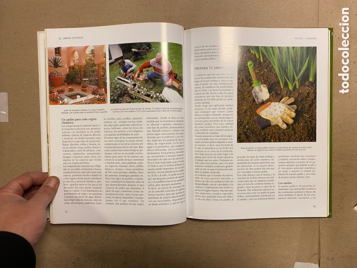 Libros de segunda mano: EL GRAN LIBRO DE LA JARDINER&Iacute;A. EDICIONES RUEDA 2009. - Foto 6