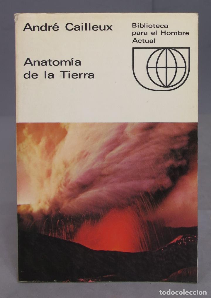 Libros de segunda mano: Anatom&iacute;a de la tierra. CAILLEUX - Foto 1