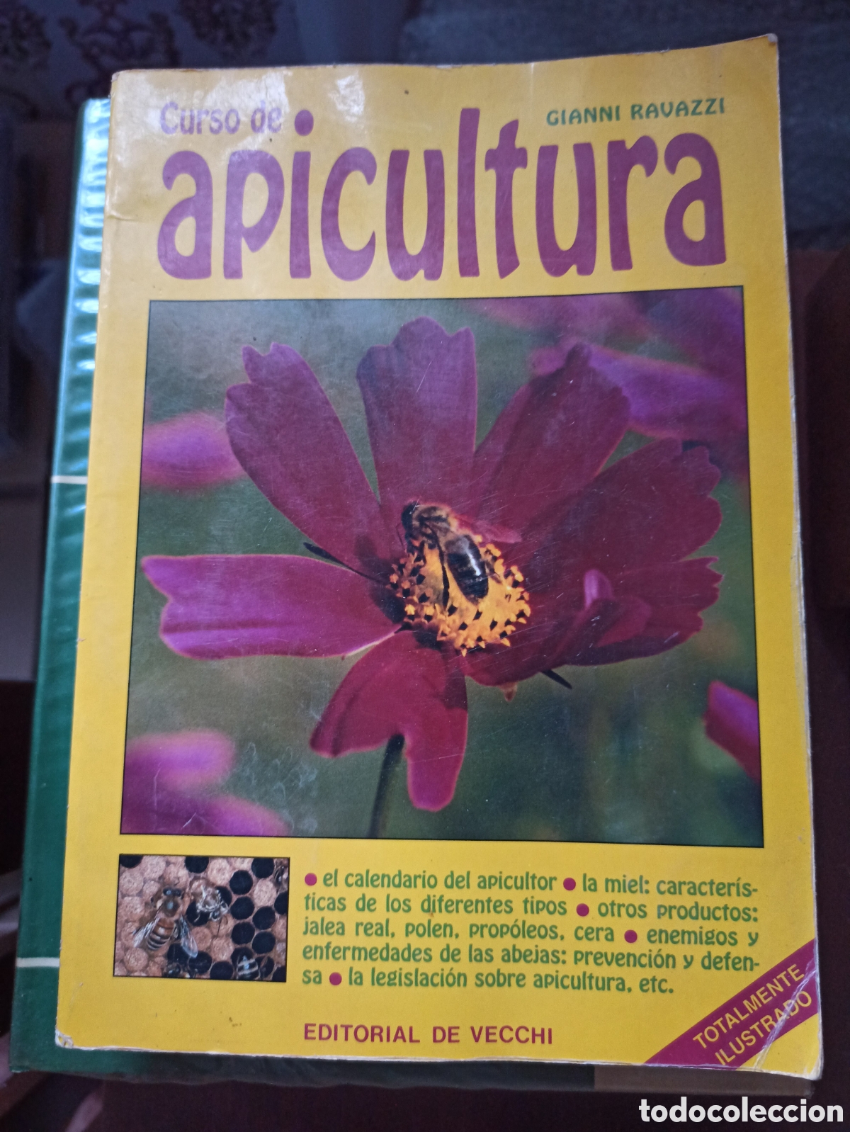 Libros de segunda mano: Curso de apicultura Gianni Ravazzi - Foto 1