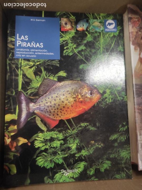 Libros de segunda mano: LAS PIRA&Ntilde;AS (M. S. GERMAIN) - Anatomia... - Foto 1