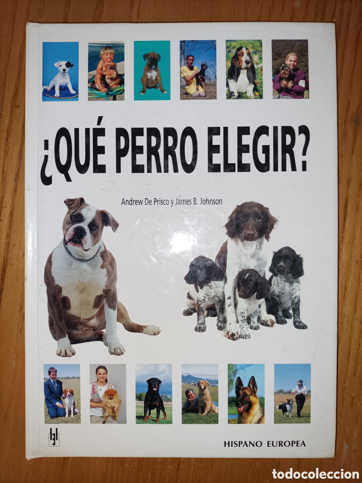 Libros de segunda mano: &iquest;Qu&eacute; perro elegir?. Andrew de Prisco. James B Johnson. Hispano Europea - Foto 1
