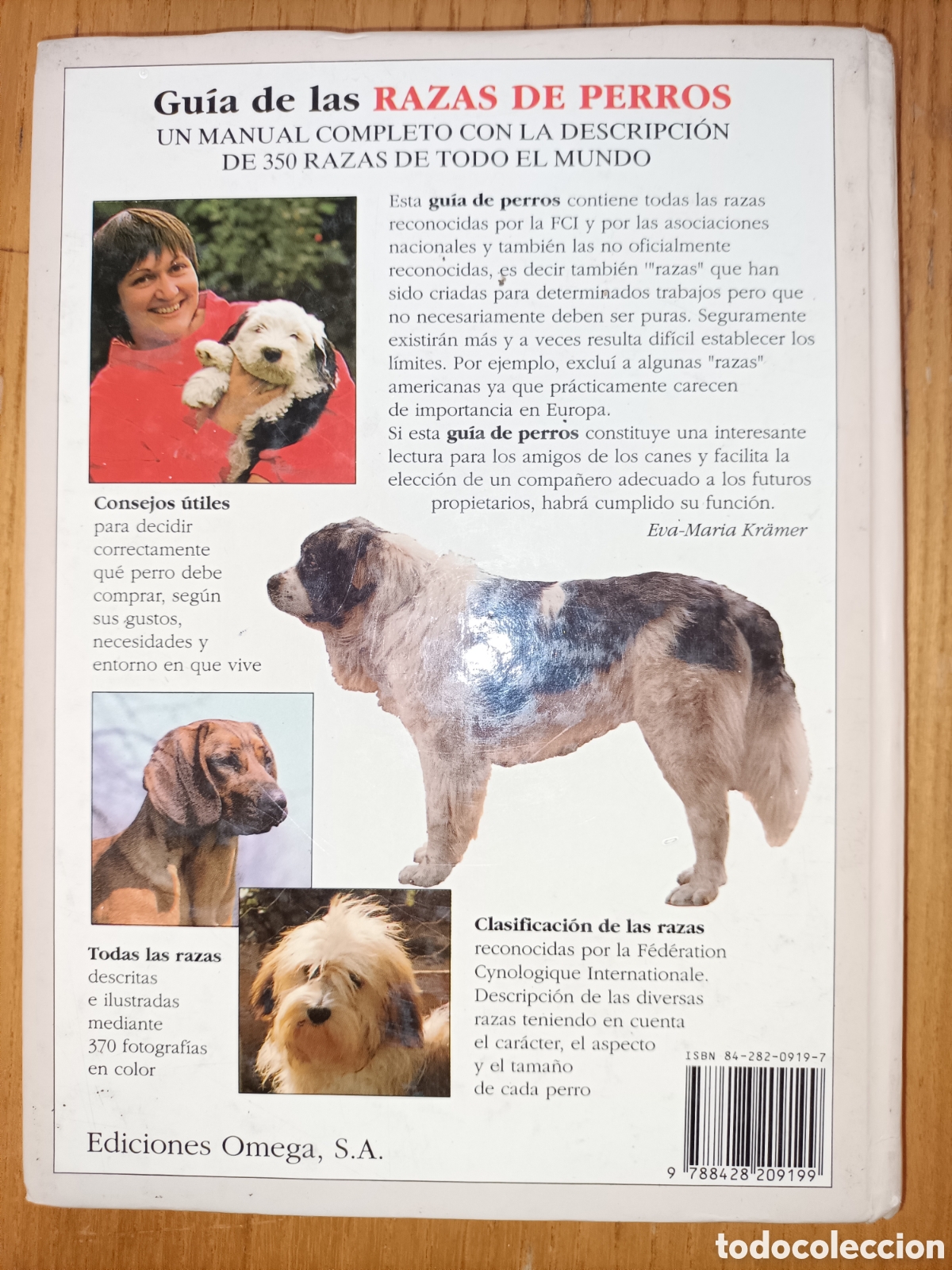 Libros de segunda mano: Gu&iacute;a de las razas de perros. Eva Mar&iacute;a kramer - Foto 2