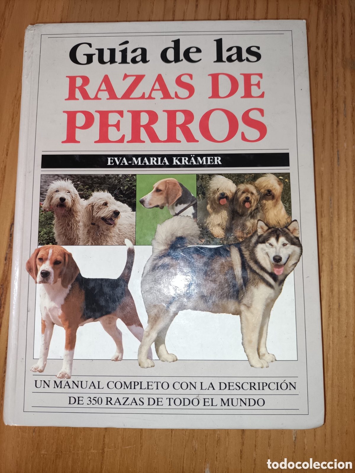 Libros de segunda mano: Gu&iacute;a de las razas de perros. Eva Mar&iacute;a kramer - Foto 1