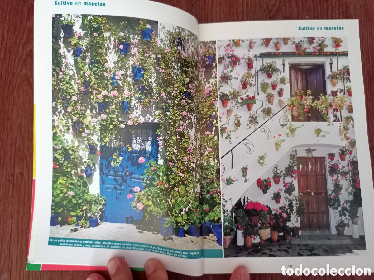 Libros de segunda mano: Libro guia de las plantas de balcones y terrazas - Foto 2