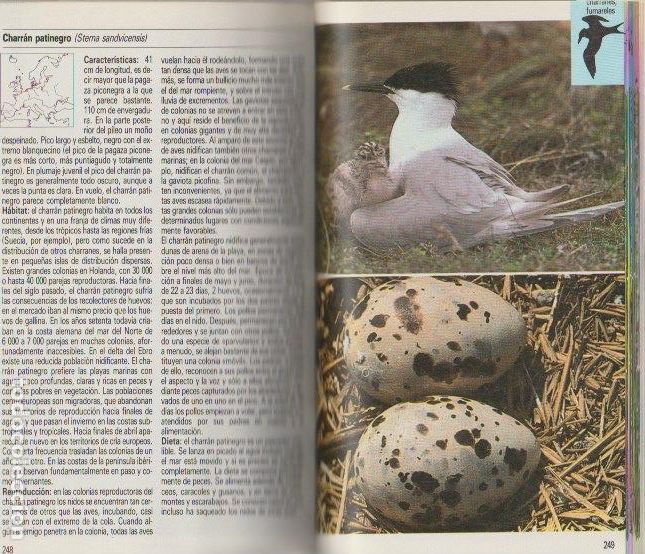 Libros de segunda mano: Aves acu&aacute;ticas / Frieder Sauer * CAZA * - Foto 5