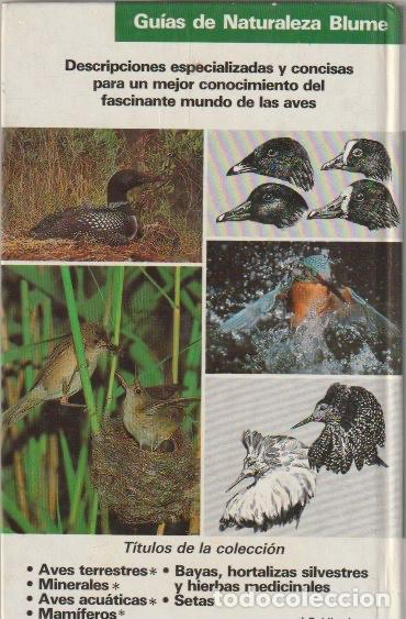 Libros de segunda mano: Aves acu&aacute;ticas / Frieder Sauer * CAZA * - Foto 2