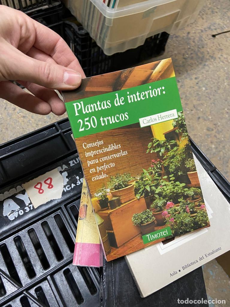 Libros de segunda mano: CAJA88 PLANTAS DE INTERIOR, 250 TRUCOS - Foto 1