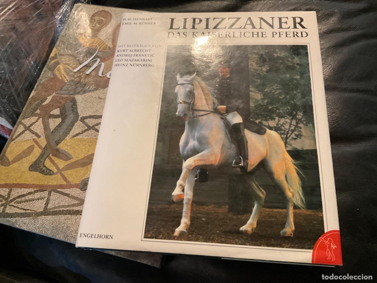 Libros de segunda mano: Lipizzane caballo das kaiserliche pferd isenbart - Foto 1