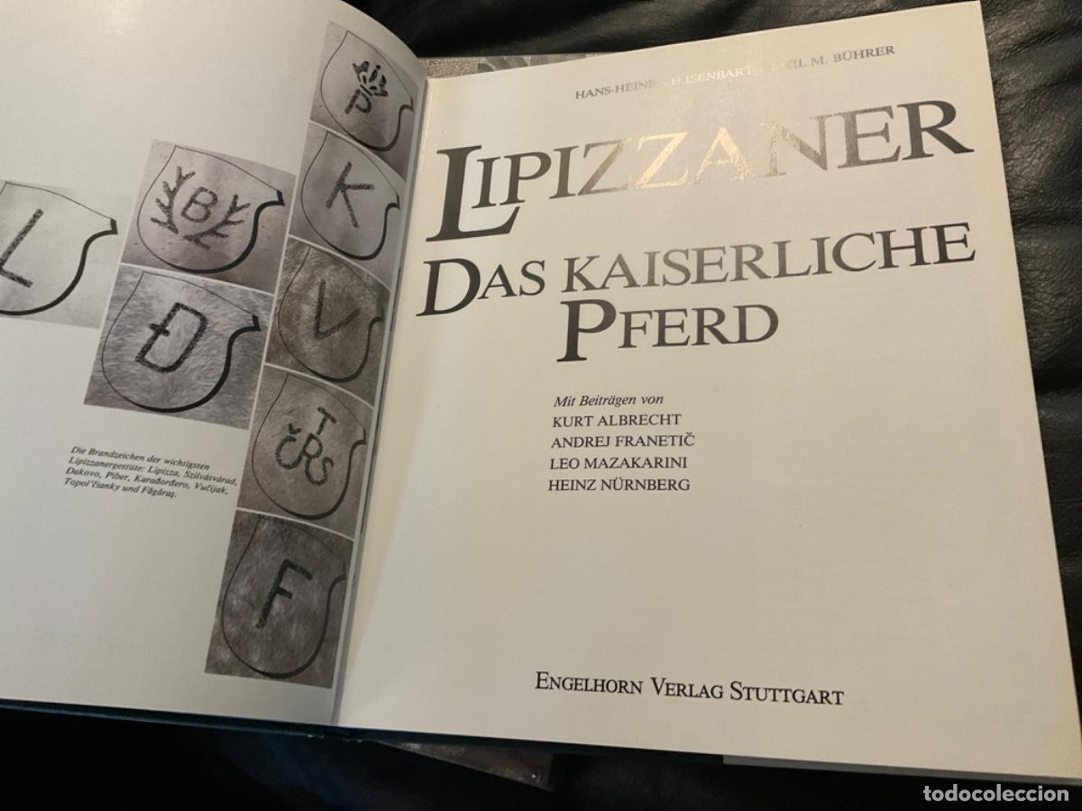 Libros de segunda mano: Lipizzane caballo das kaiserliche pferd isenbart - Foto 2