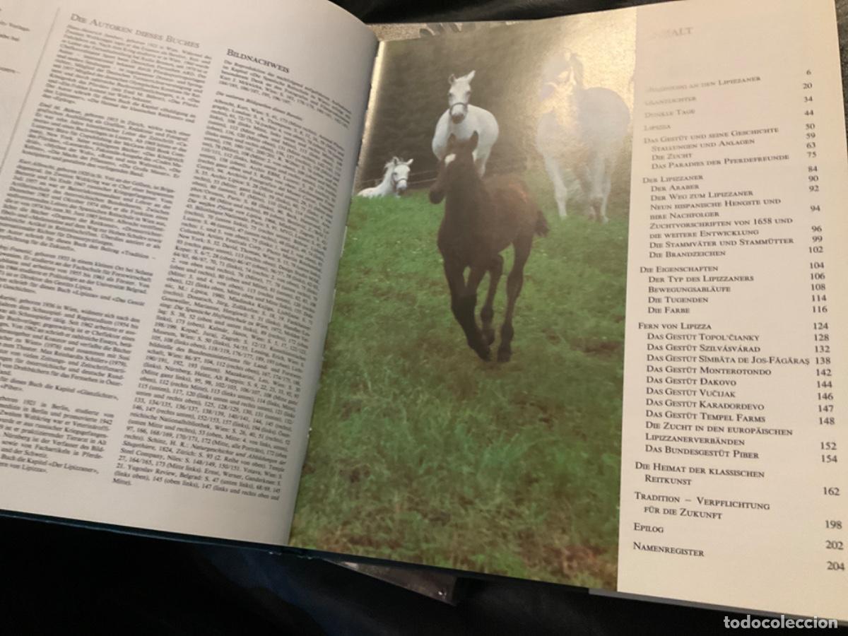 Libros de segunda mano: Lipizzane caballo das kaiserliche pferd isenbart - Foto 3
