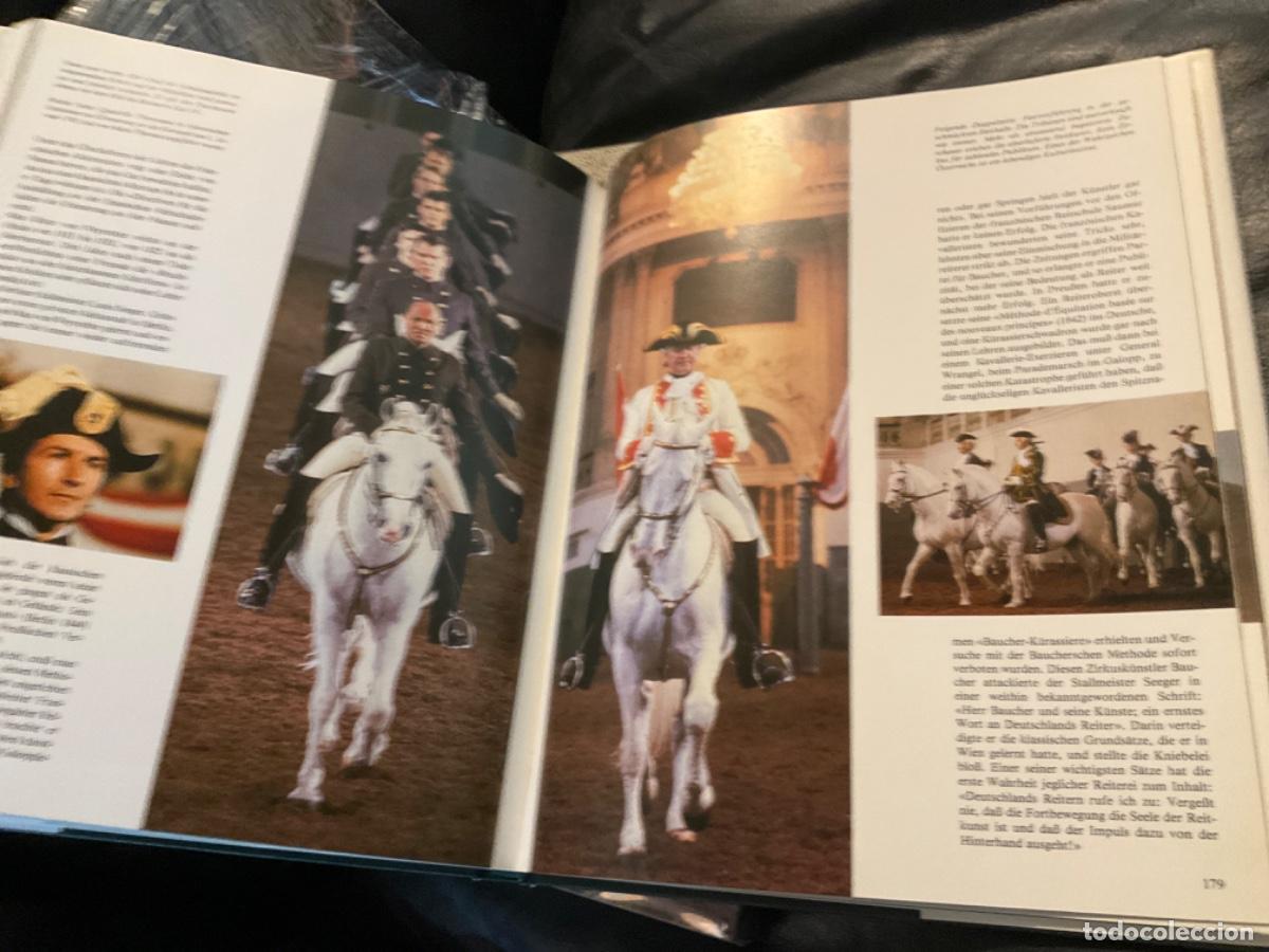 Libros de segunda mano: Lipizzane caballo das kaiserliche pferd isenbart - Foto 5
