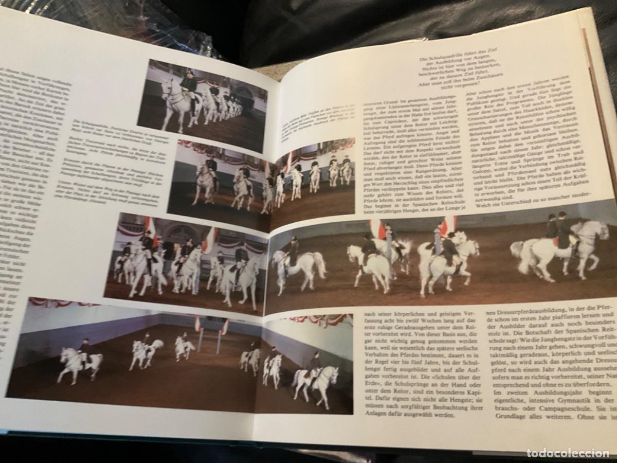 Libros de segunda mano: Lipizzane caballo das kaiserliche pferd isenbart - Foto 6