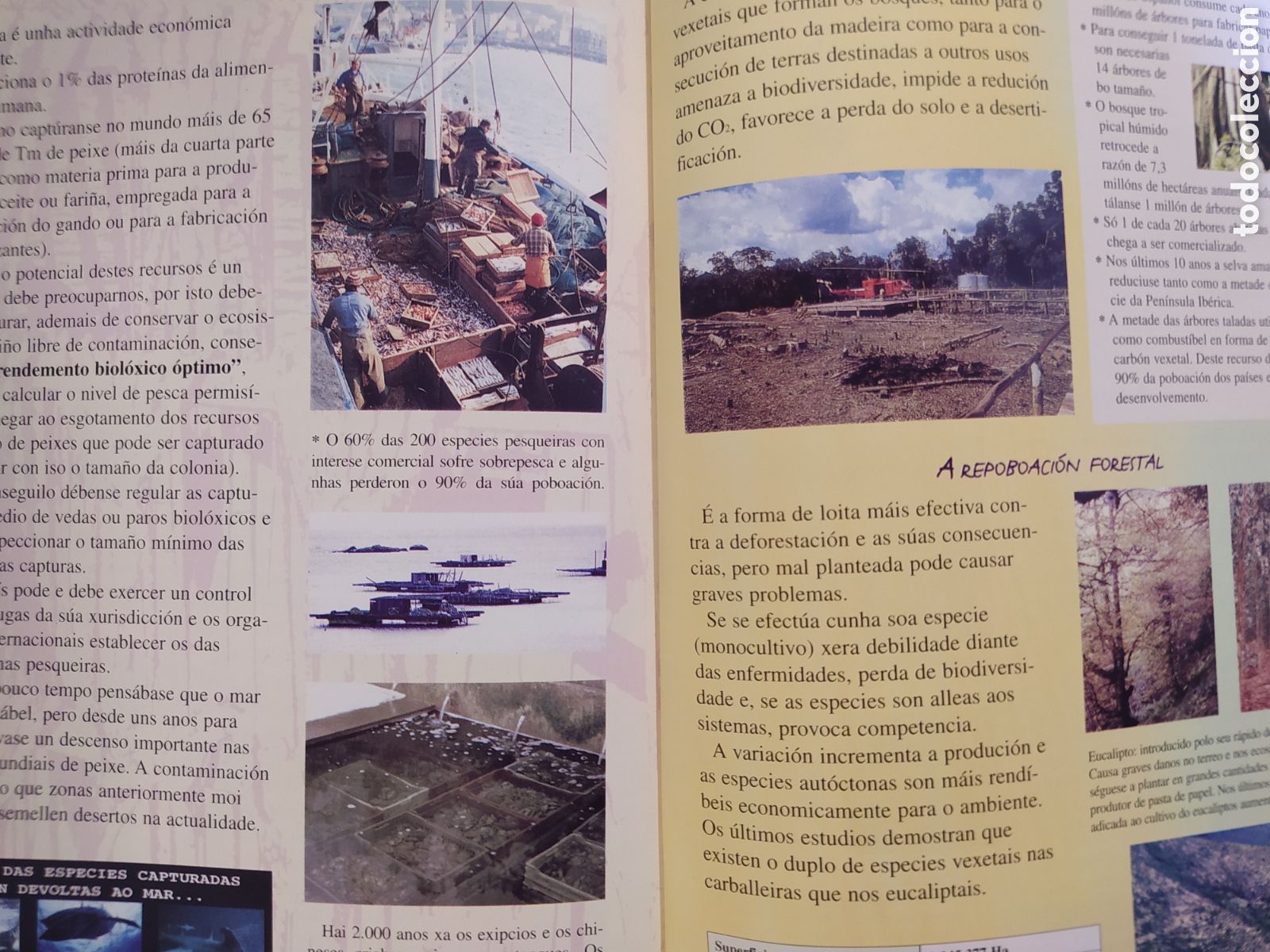 Libros de segunda mano: A ecolox&iacute;a - Foto 2