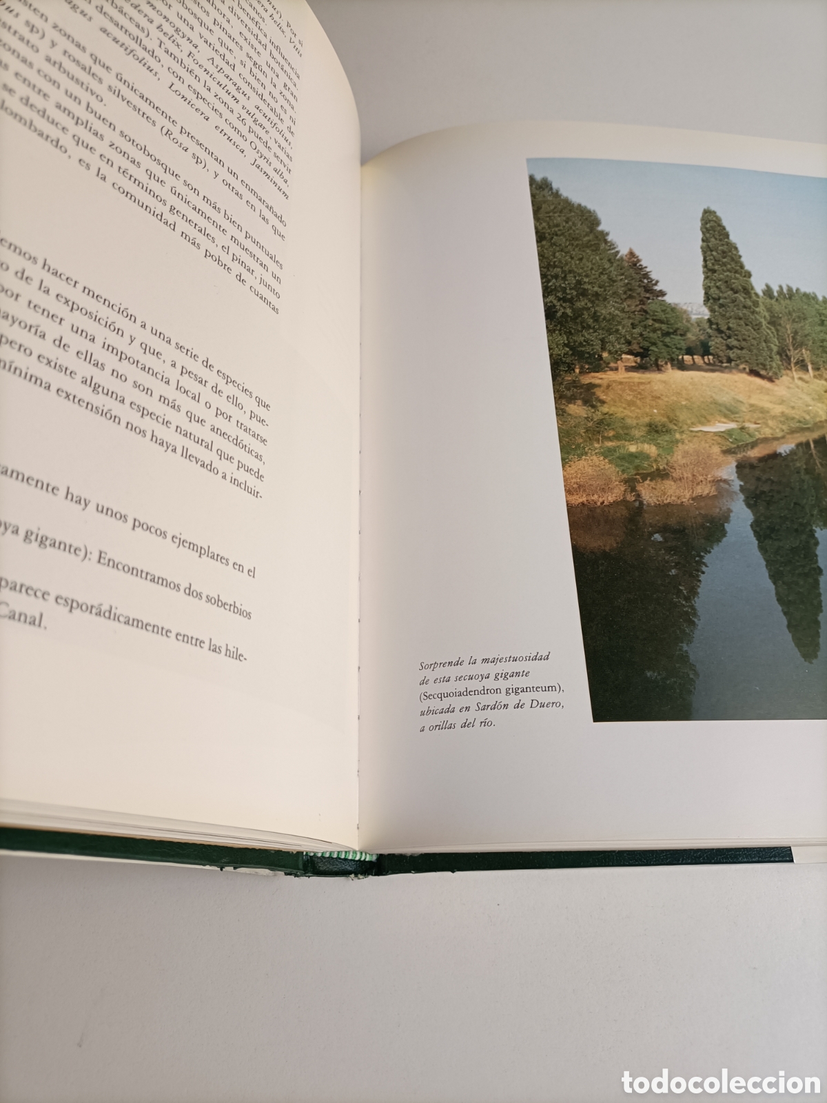 Libros de segunda mano: El canal del Duero. Ignacio Bustamante - Foto 7