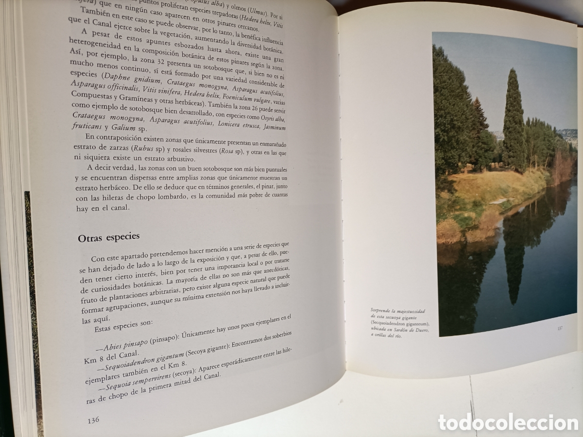 Libros de segunda mano: El canal del Duero. Ignacio Bustamante - Foto 8