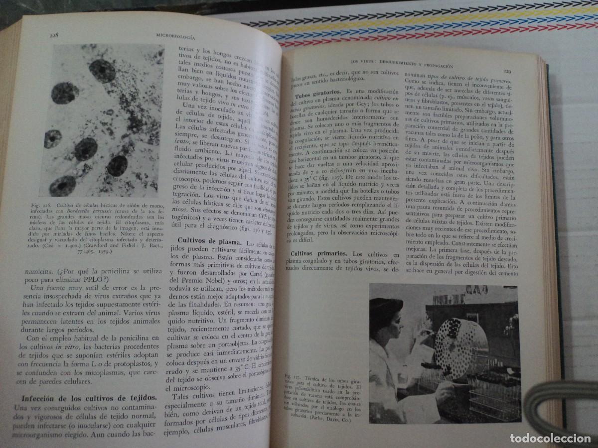 Libros de segunda mano: Microbiolog&iacute;a - Mart&iacute;n FRobisher - Foto 4