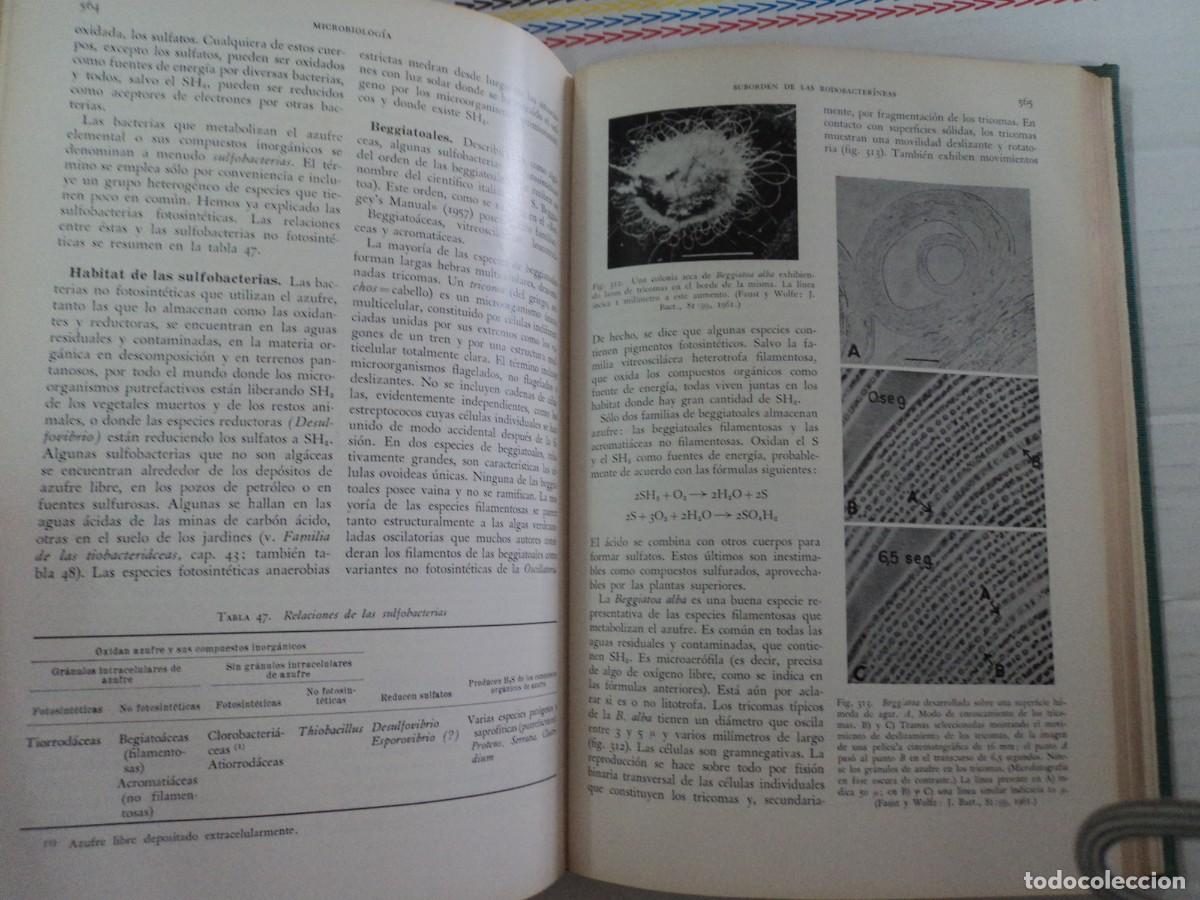Libros de segunda mano: Microbiolog&iacute;a - Mart&iacute;n FRobisher - Foto 5
