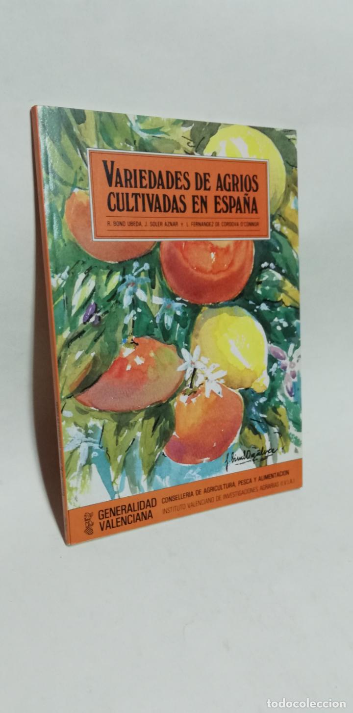 Libri di seconda mano: VARIEDADES DE AGRIOS CULTIVADAS EN ESPA&Ntilde;A. 1985