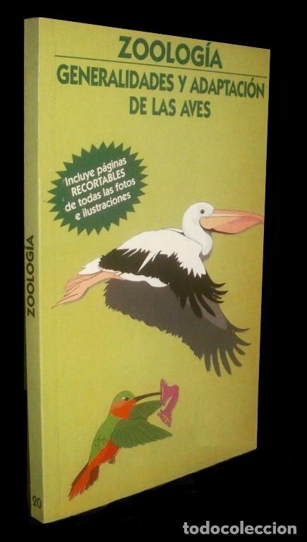Libros de segunda mano: ZOOLOGIA. AVES. GENERALIDADES. ADAPTACION. PAJAROS. INCLUYE PAGINAS RECORTABLES.