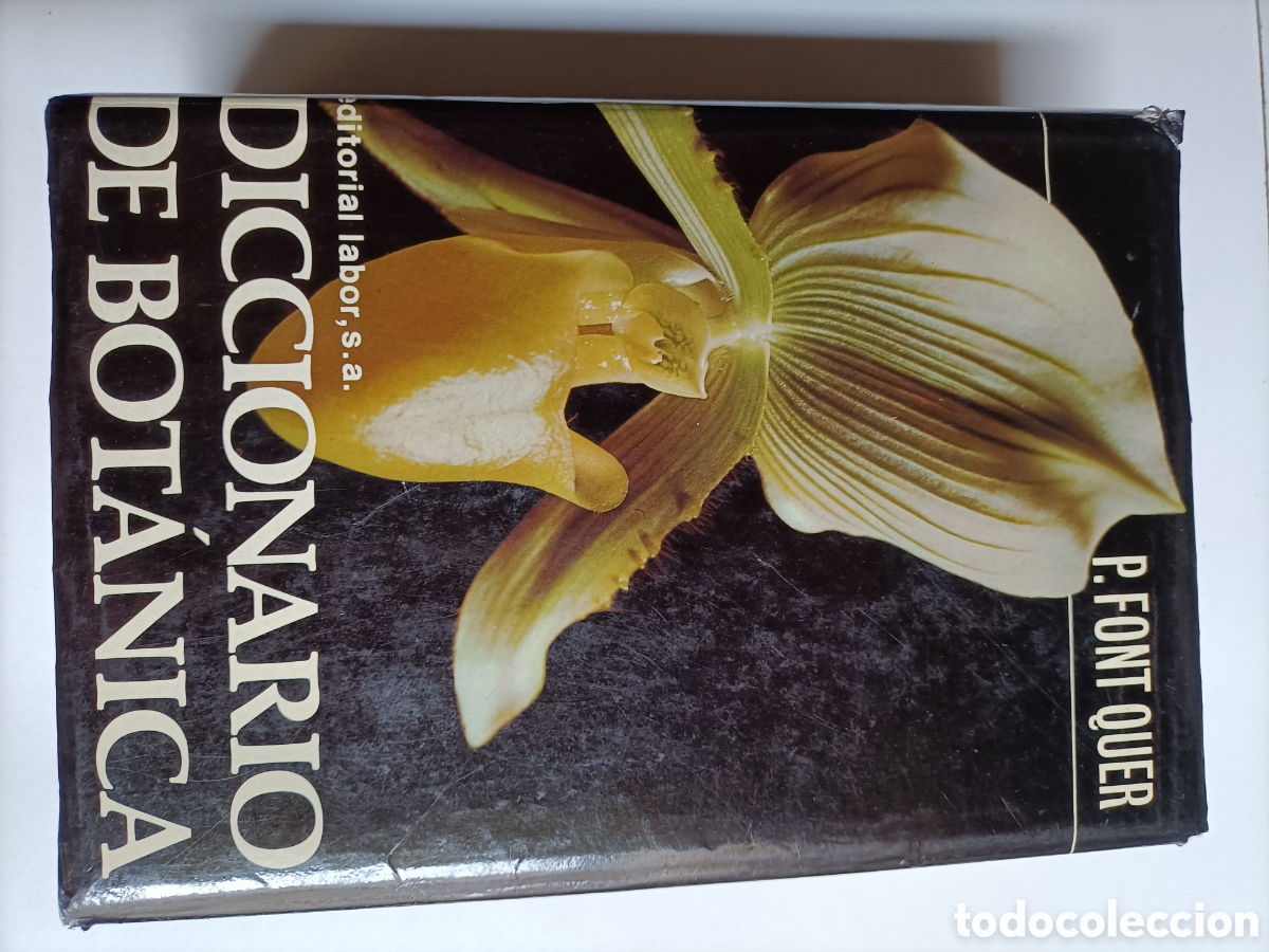 Libros de segunda mano: Diccionario de bot&aacute;nica P. Font Quer........ ENV&Iacute;O GRATIS CERT ESPA&Ntilde;A PEN&Iacute;NSULA.... - Foto 2