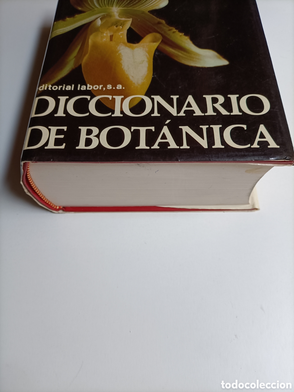 Libros de segunda mano: Diccionario de bot&aacute;nica P. Font Quer........ ENV&Iacute;O GRATIS CERT ESPA&Ntilde;A PEN&Iacute;NSULA.... - Foto 3