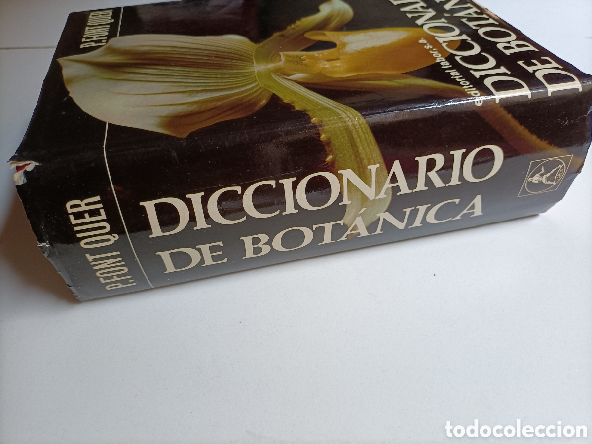 Libros de segunda mano: Diccionario de bot&aacute;nica P. Font Quer........ ENV&Iacute;O GRATIS CERT ESPA&Ntilde;A PEN&Iacute;NSULA.... - Foto 4
