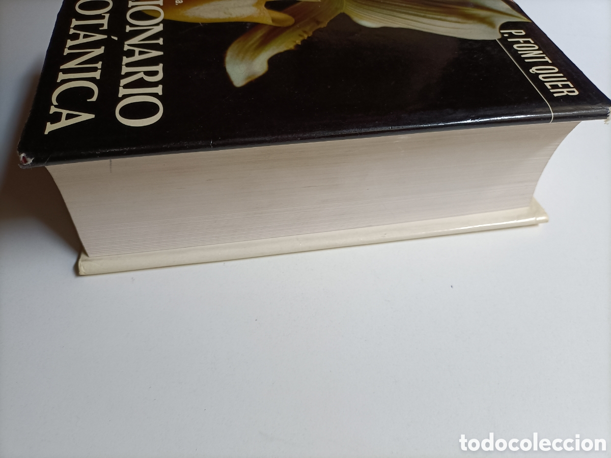 Libros de segunda mano: Diccionario de bot&aacute;nica P. Font Quer........ ENV&Iacute;O GRATIS CERT ESPA&Ntilde;A PEN&Iacute;NSULA.... - Foto 5
