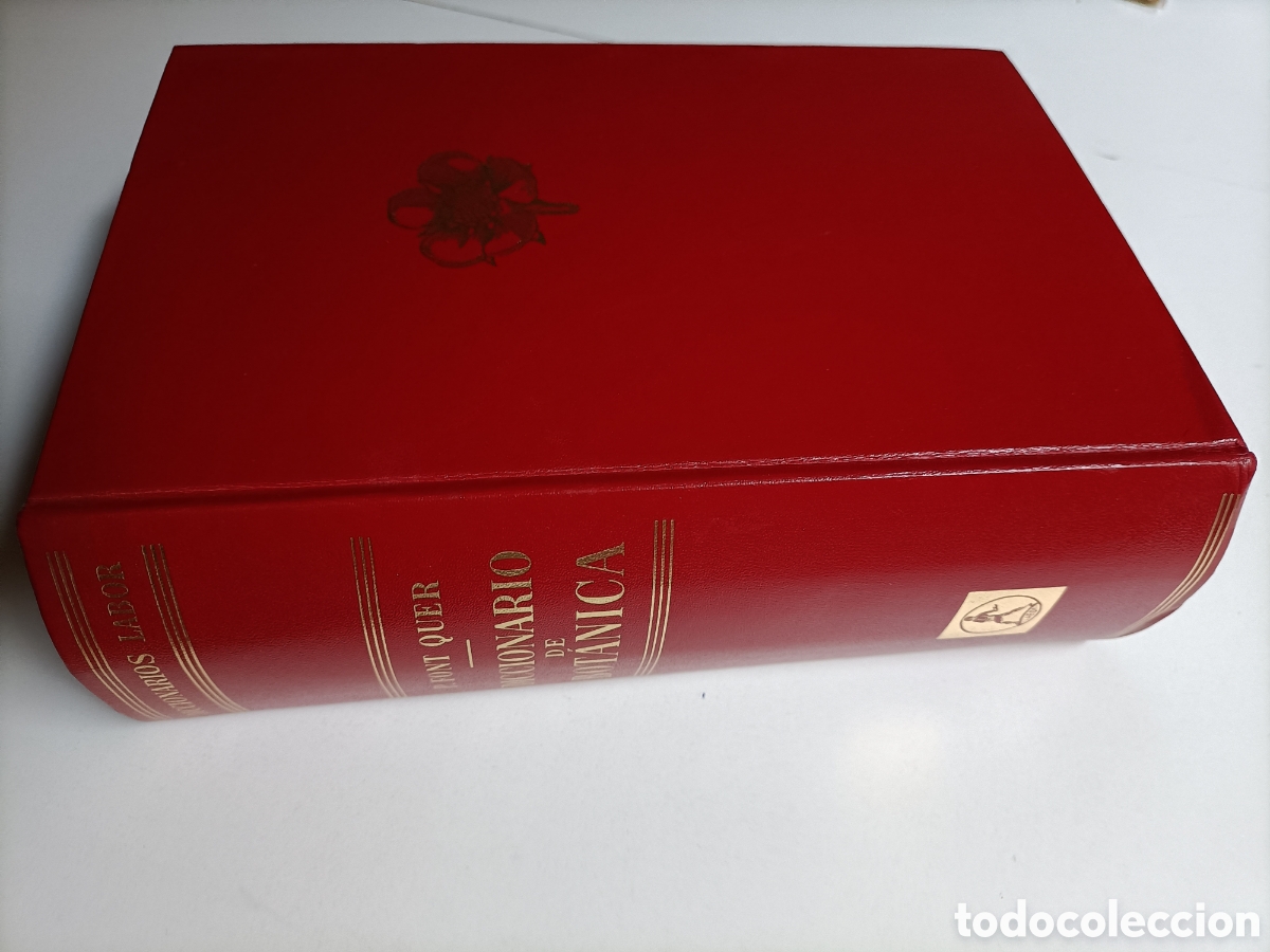 Libros de segunda mano: Diccionario de bot&aacute;nica P. Font Quer........ ENV&Iacute;O GRATIS CERT ESPA&Ntilde;A PEN&Iacute;NSULA.... - Foto 7