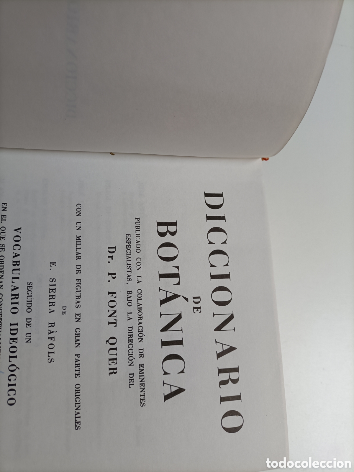 Libros de segunda mano: Diccionario de bot&aacute;nica P. Font Quer........ ENV&Iacute;O GRATIS CERT ESPA&Ntilde;A PEN&Iacute;NSULA.... - Foto 9