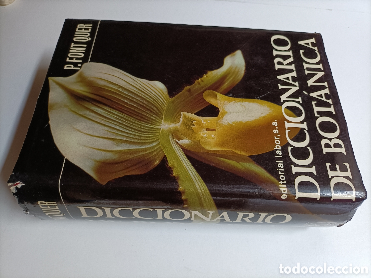 Libros de segunda mano: Diccionario de bot&aacute;nica P. Font Quer........ ENV&Iacute;O GRATIS CERT ESPA&Ntilde;A PEN&Iacute;NSULA.... - Foto 1