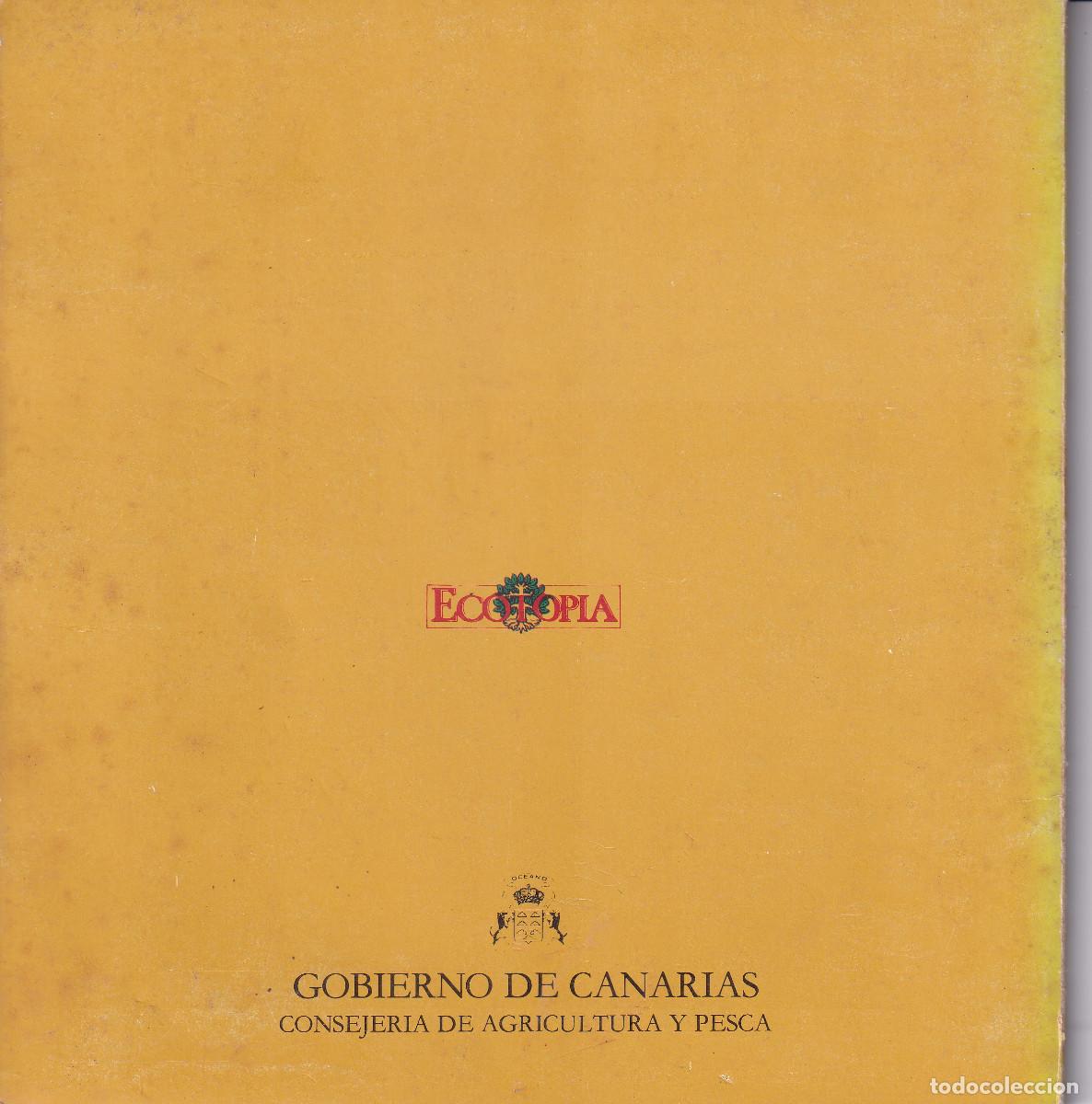 Libros de segunda mano: MIEL Y PALMA - ANTONIO QUINTERO LIMA - LA GOMERA - CANARIAS - Foto 2